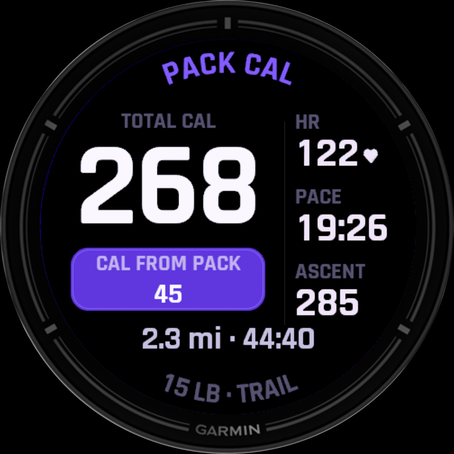 PackCal rendered on an epix Pro, showing the adaptive layout