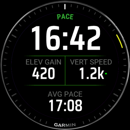 Effort screen showing pace, elevation gain, and vertical speed