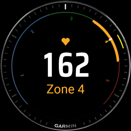 HR zones screen with circular zone gauge